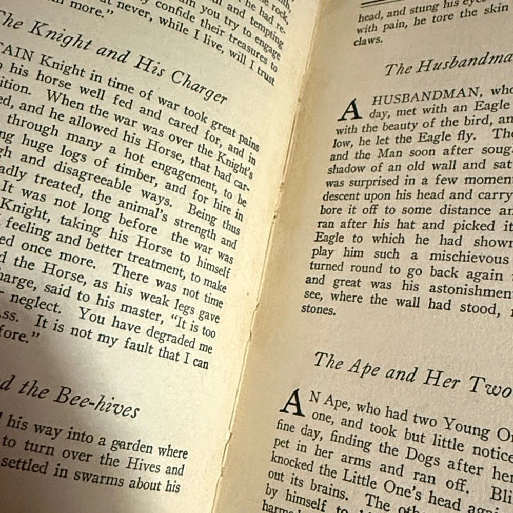 Aesop's Fables Hardcover Book